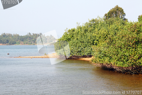 Image of Wetland in Hong Kong along the coast