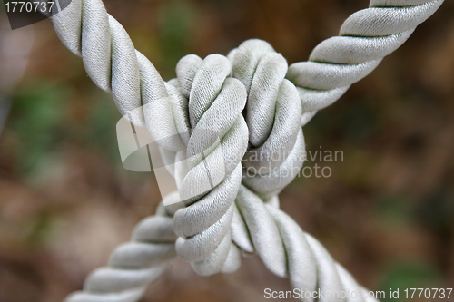 Image of Ship rope with knot