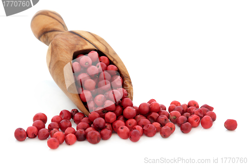 Image of Pink Peppercorns