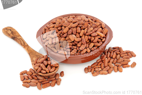 Image of Pinto Beans