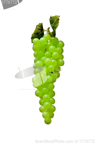 Image of Bunch of grapes