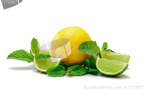 Image of Fresh Lemon, Lime and Mint