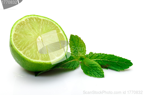 Image of Fresh Lime and Mint
