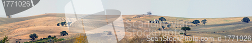 Image of Panoramic views of the country in Apulia Italy