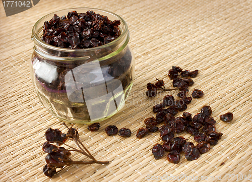 Image of Dried berries of viburnum