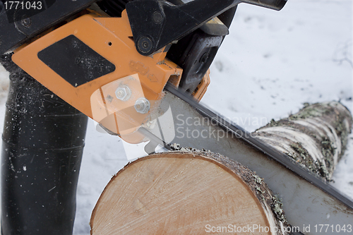 Image of Chainsaw sawing logs birch