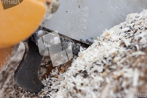 Image of Chainsaw sawing logs birch