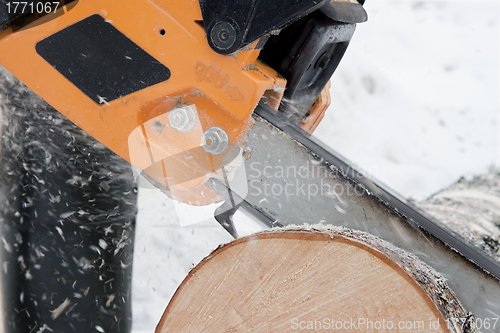 Image of Sawing logs birch