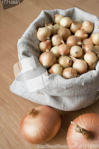 Image of Onions for planting