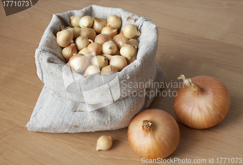 Image of Onions in bag for planting