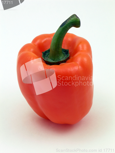Image of Single Orange Pepper