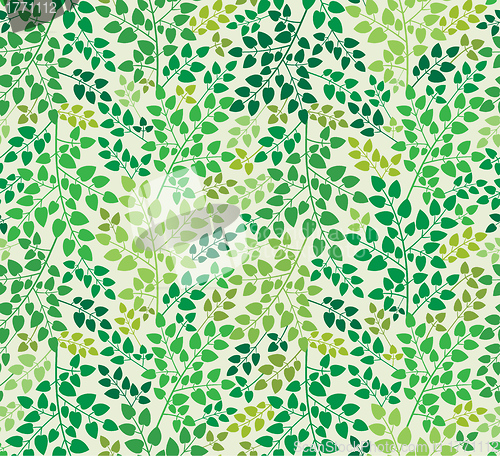 Image of Floral seamless background