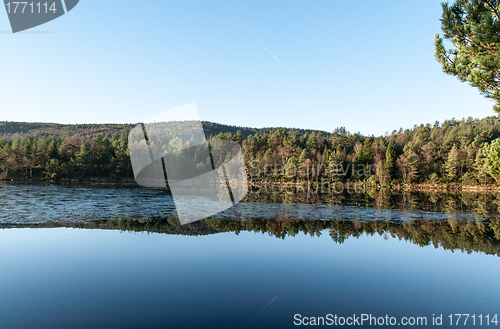 Image of Autumn in the woods