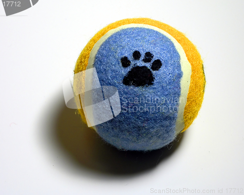 Image of Tennis Paw Ball