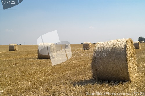 Image of Bail of hay