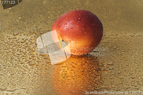 Image of Nectarine