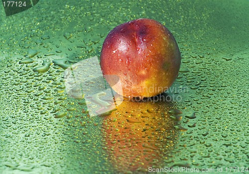 Image of Wet nectarine