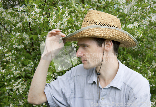 Image of A young man in a cherry garden