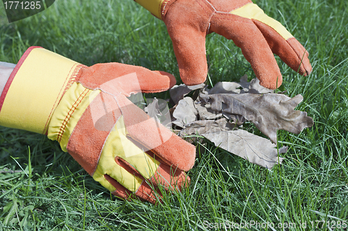 Image of Work gloves are used for lawn care