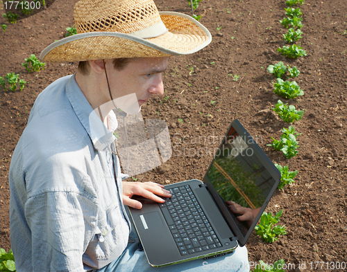 Image of The young man  examines shoots of a potato