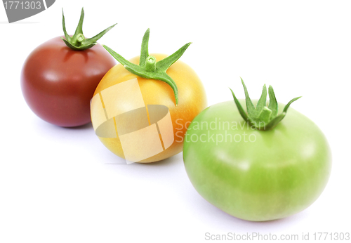 Image of Tomatoes red, yellow and green