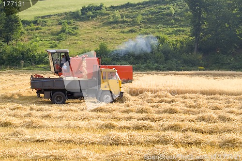 Image of Harvest