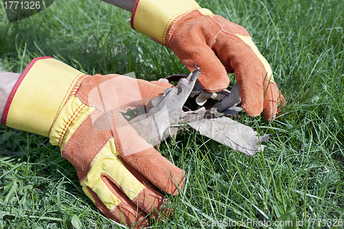 Image of Work gloves