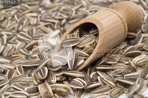 Image of Seeds
