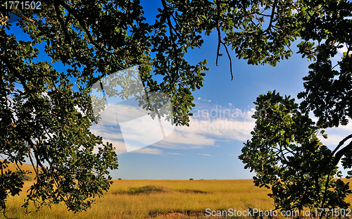 Image of Summer landscape