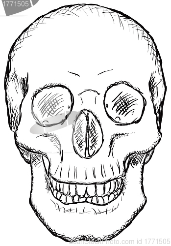 Image of Skull - rough drawing