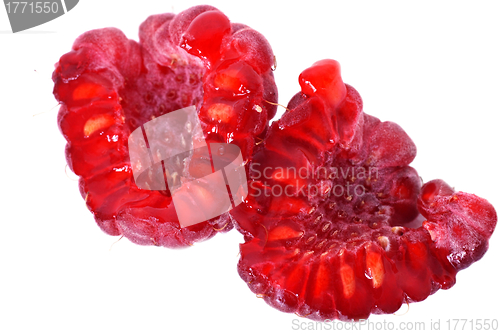 Image of Red raspberry