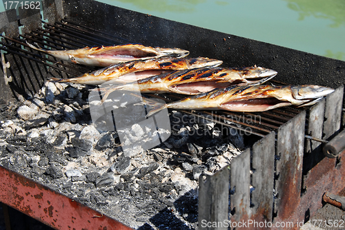 Image of Grilled fish on barbecue