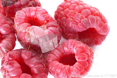 Image of Red raspberries