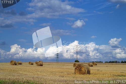 Image of Bale of hay