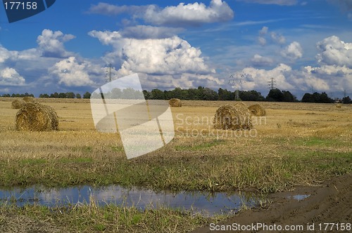 Image of Bale of hay