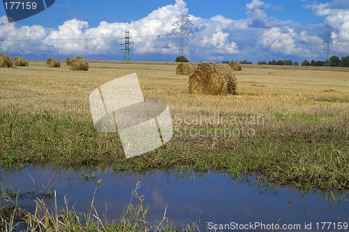 Image of Hay on field