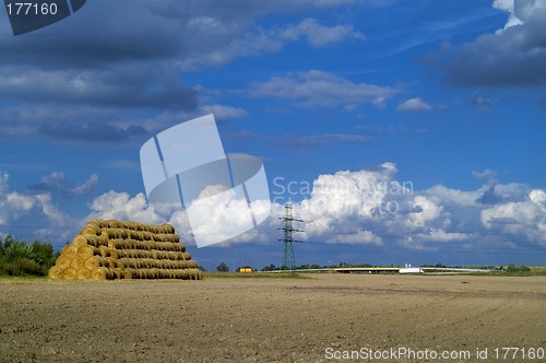 Image of Pile of hay