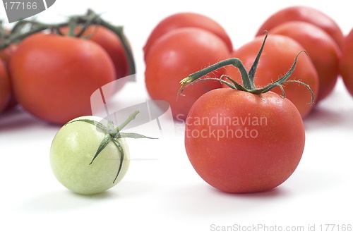 Image of Tomatoes