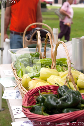 Image of Fresh Organic Farmers Market Vegetables