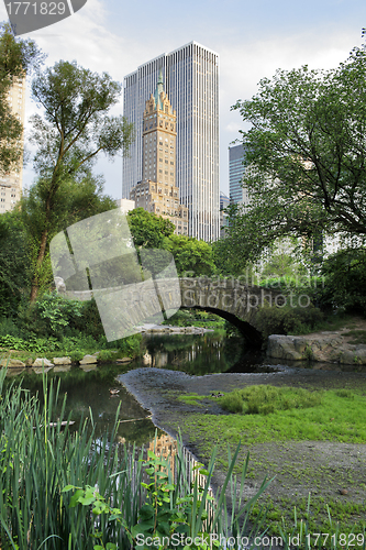 Image of Central Park