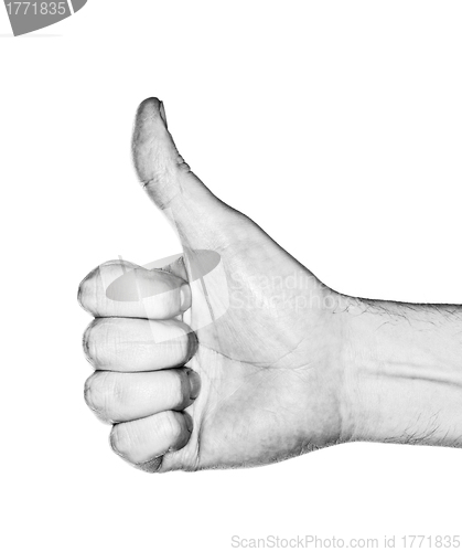 Image of Thumb Up