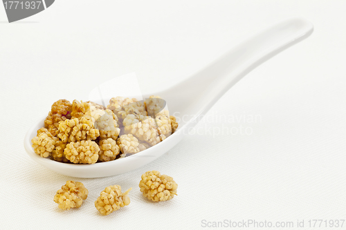 Image of spoon of dried white mulberries