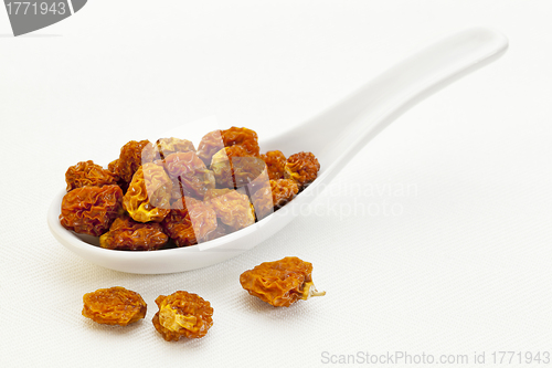 Image of spoon  of dried organic goldenberry