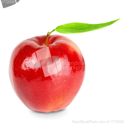 Image of Red apple