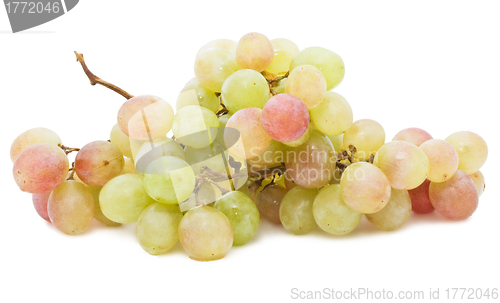 Image of Grapes