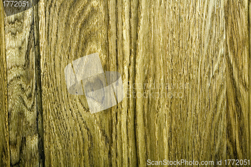 Image of Wood
