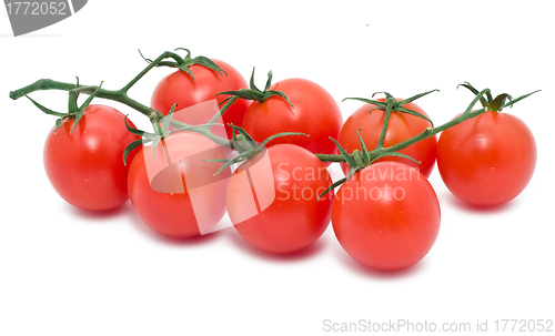 Image of Tomato