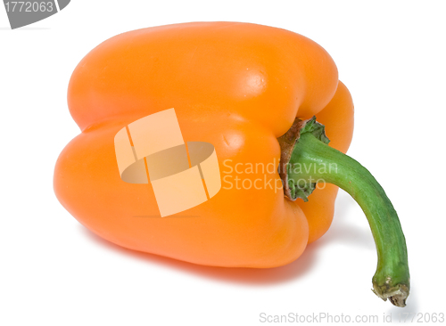 Image of Bell pepper