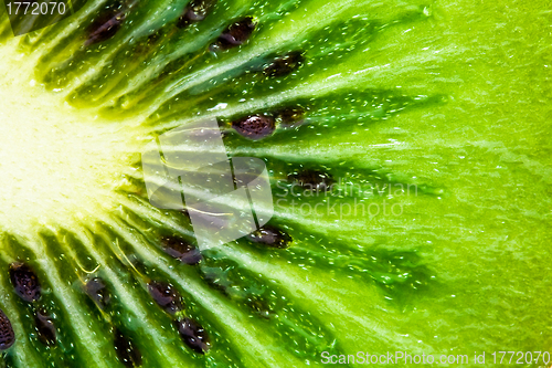 Image of Kiwi