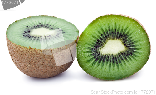 Image of Kiwi